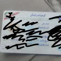 تعدادی مدارک بنام طالبی گمشده