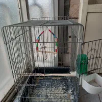 قفس پرنده