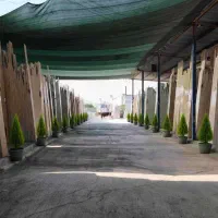 عرضه انواع سنگ‌نما، سنگ‌پله، موزائیک و نرده صراحی
