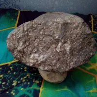 سنگهای گوناگون