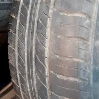 لاستیک تری انگل ۱۴