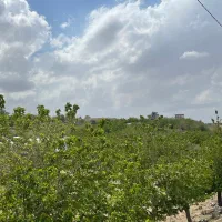 زمین ملکی تک برگ شش دانگ ‌با پروانه آماده ساخت