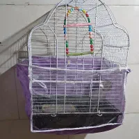 قفس پرنده