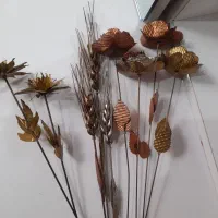 همه نو هستن و بدون مشکل