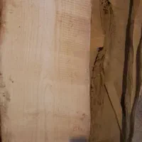 کتاب خانه چوبی|کتابخانه، شلف، قفسه‌های دیواری|طرقبه, |دیوار