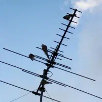 نصب آنتن گیرنده دیجیتال براکتTVچک صیادی