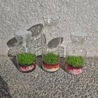 تنگ های تراریوم ویال اسموتی چمن شده سبزه ی شب عید