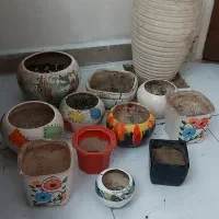 ۱۲ عدد گلدان