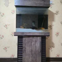 آکواریوم شیشه خم با همه وسایل