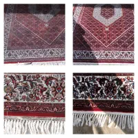 قالیشویی تمام اتوماتیک (صفا)