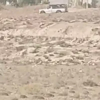 زمین-باغشهری-ملوسجان