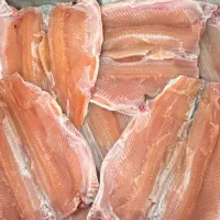 بهترین درجه یک ماهی