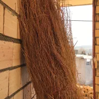 جارو شهرداری