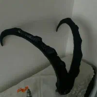 شاخ دکور اصل بز کوهی