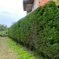 هرس سمپاشی علفتراشی