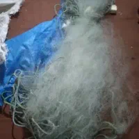 تور ماهی نو