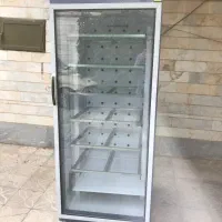 دستگاه جوجه کشی Dq 200 sh بلدرچین دماوند
