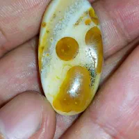 سلطانی سلیمانی‌کهنه اماده رکاب کردن