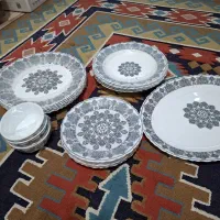 سرویس آرکوپال نو نو پلمپ تو کارتون