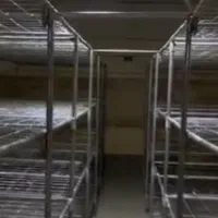پرورش قارچ شریک