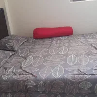 تخت دو نفره|تخت و سرویس خواب|قم, شاه سید علی|دیوار