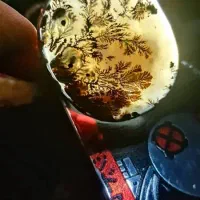 شجر قواره بزرگ