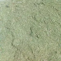 خارکوبیده|گل و گیاه طبیعی|خوشاب, |دیوار