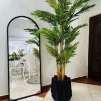 درختچه کنتیا لوکس