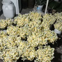 نیروی کار|استخدام بازاریابی و فروش|شیراز, شهرک مهدیه|دیوار