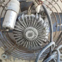 فن   ۵۰ در ۵۰