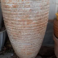 گلدان سرامیکی|گل و گیاه طبیعی|تهران, حکیمیه|دیوار