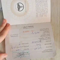 سگ چهار ماهه نر تازه واکسیناسیون شده سالم سلامت|سگ|پاکدشت, حصار امیر|دیوار