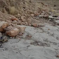 زمین کوچه ۸۰|فروش زمین و ملک کلنگی|شیراز, شهرک سعدی|دیوار