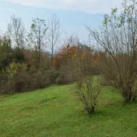 زمین مسکونی ویلایی بهشت گیلان