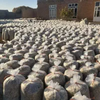 فروش‌تفاله‌تر‌چغندرمیاندواب|لوازم جانبی حیوانات|میاندوآب, |دیوار