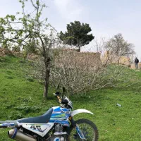 تریل نامی ۲۵۰