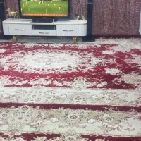 فرش|فرش|پاکدشت, پاکدشت (مامازند)|دیوار