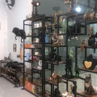 واگذاری مغازه تجاری با دخل|اجارهٔ مغازه و غرفه|گلبهار, شهر جدید گلبهار|دیوار