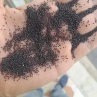 بذر قرفه سوپر پاک پاک قلفه قنادی|عمده‌فروشی|شیراز, قدوسی غربی|دیوار