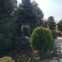 فروش-تجاری-خیابان-اصلی-مامونیه