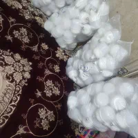 لامپ ۶۰ وات بدون کارتن عمده|لامپ و چراغ|زاهدان, |دیوار