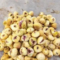 انجیر استهبان درجه یک