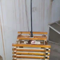 لوازم شخصی خانگی|لوستر و چراغ آویز|بیرجند, |دیوار