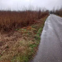 12هزار متر باغ داخل طرح (در آینده مسکونی)