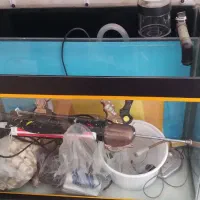 نمک آکواریم آب شور