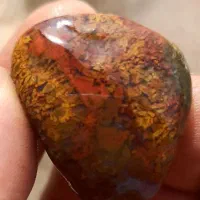 سنگ عقیق مناسب تنگ ماهی