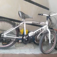 ۳ عدد دوچرخه