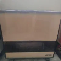 بخاری نیکلا
