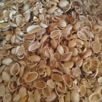 سلام وقت بخیر خرید پوست پسته کلی جزئی