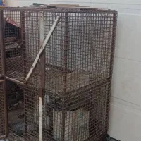 قفس|لوازم جانبی حیوانات|باوی, |دیوار